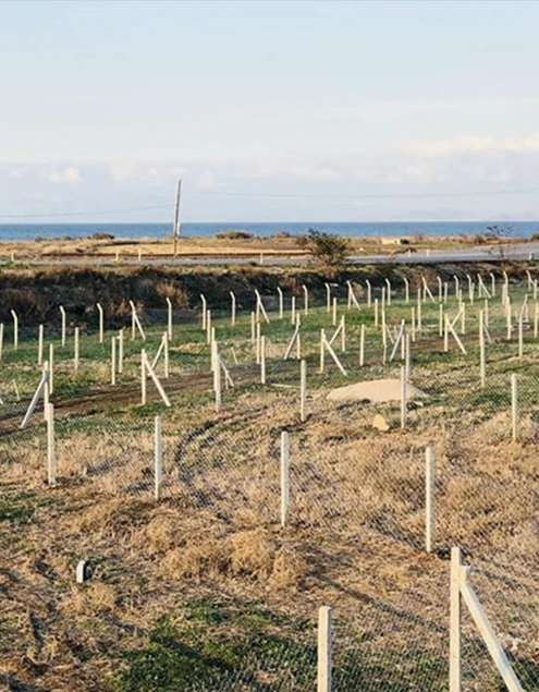 Çanakkale Biga Kepekli Mahallesi 152 Ada 12 Parsel